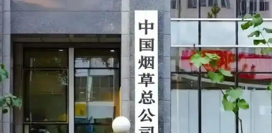 不是梅西！不是姆巴佩！世界杯最强球星出炉，英格兰却成最大输家